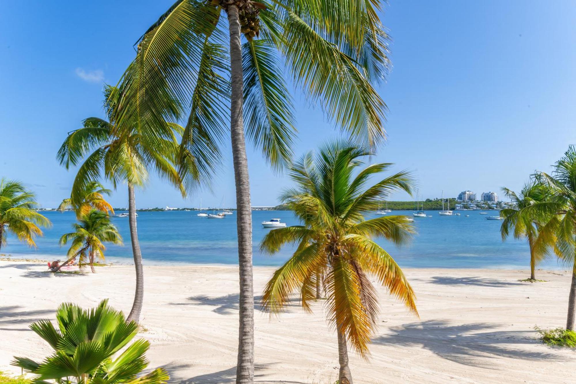 Vue Imprenable Sur Le Lagon, Appartement 1Ch 4P Baie Nettle 外观 照片